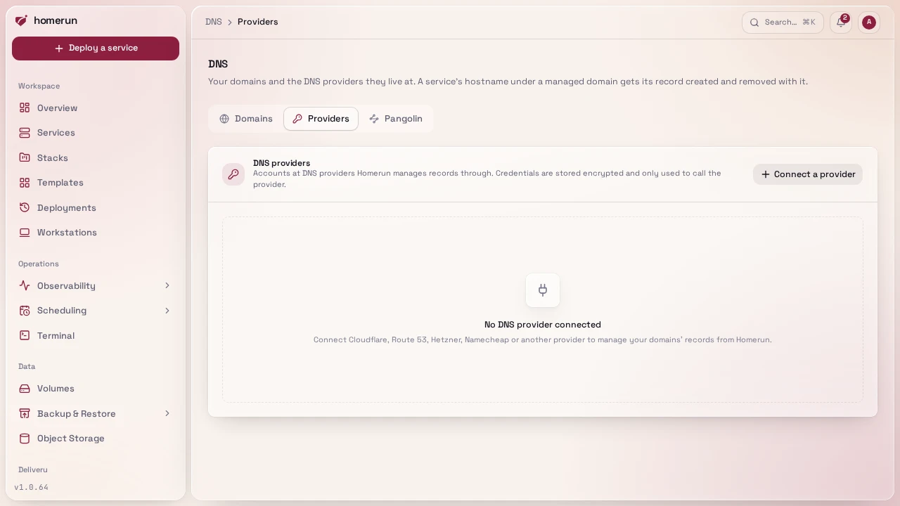 Connecting a DNS provider