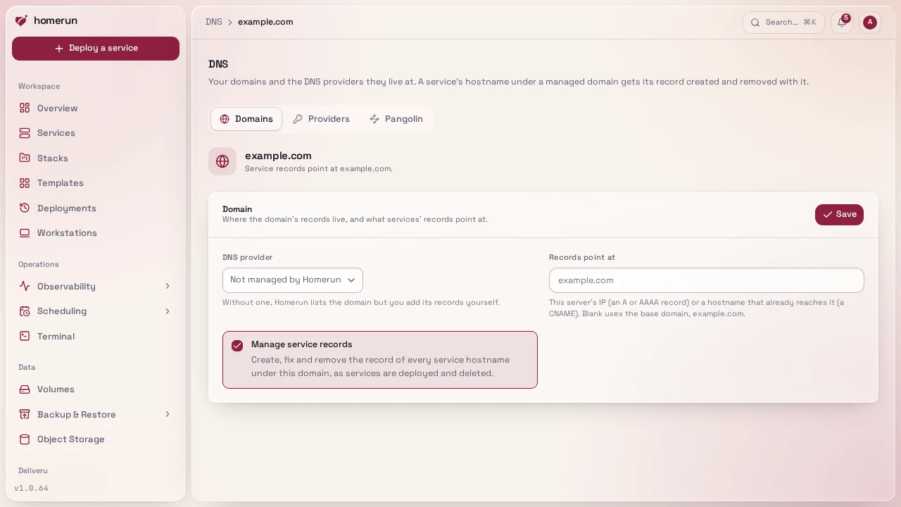 A domain's page, where it's linked to a connection and zone and told where records point