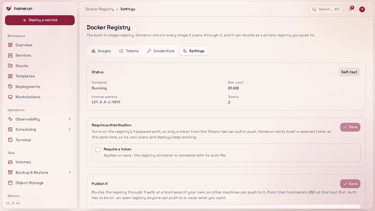 The registry's Settings tab: status, Require authentication and Publish it