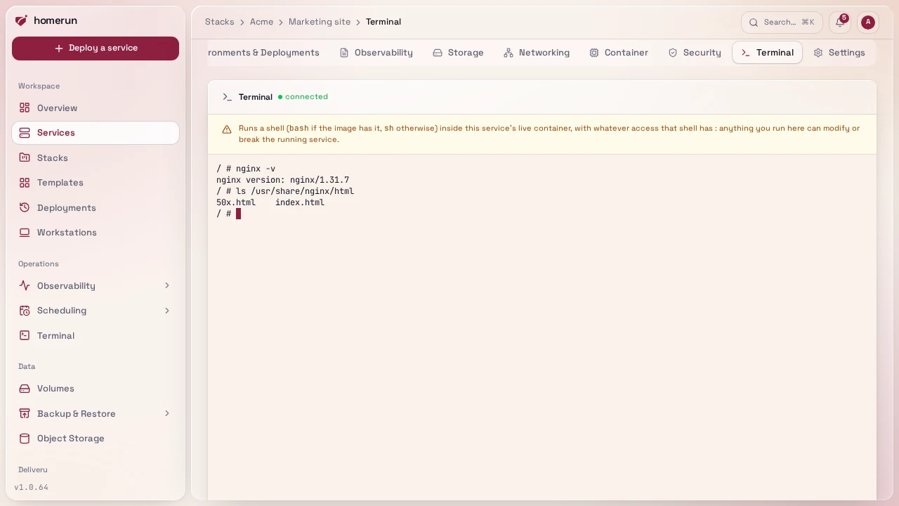 A terminal into a running nginx container, from the browser